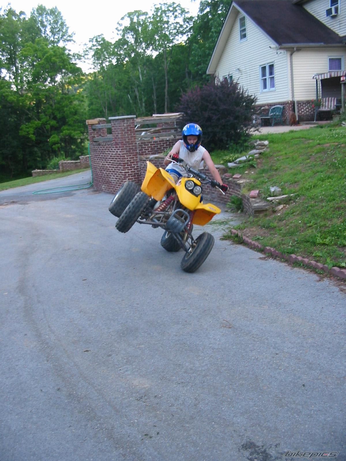 Photo 1202983
