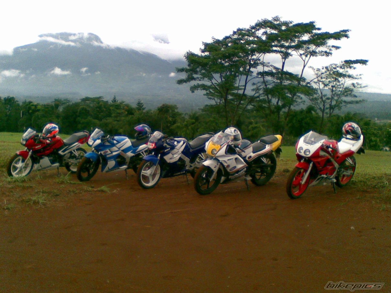 Photo 1203003