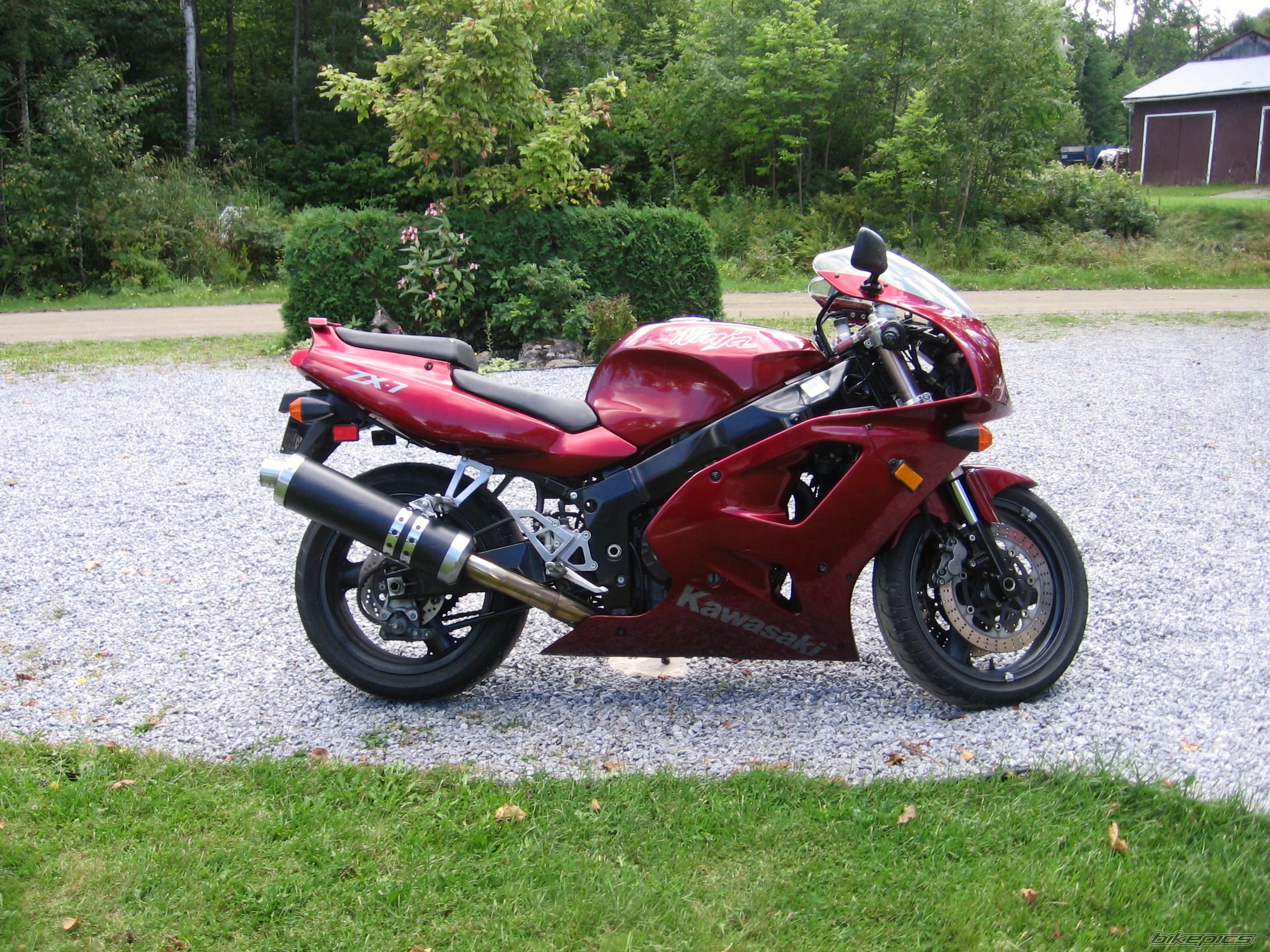 Photo 1203008