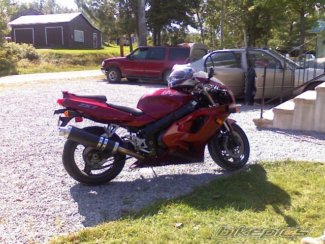 Photo 1203010