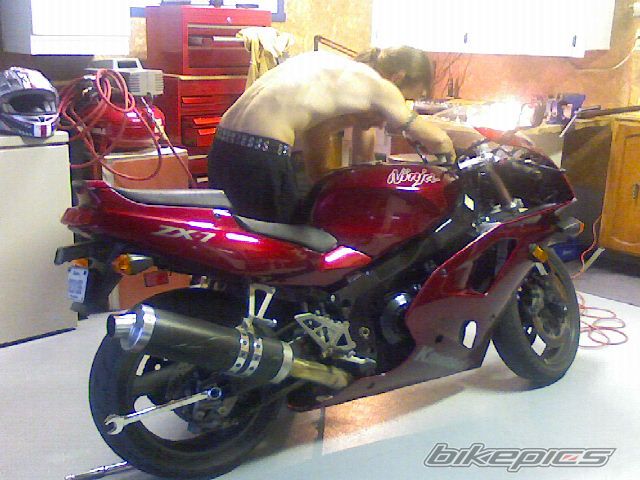 Photo 1203039