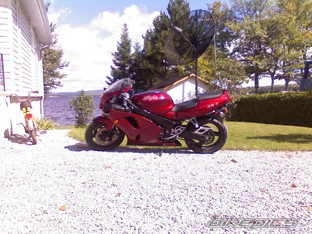 Photo 1203043