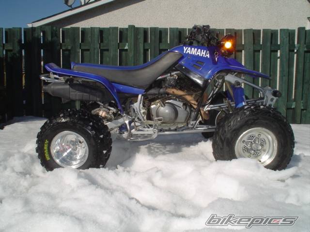 Photo 120306