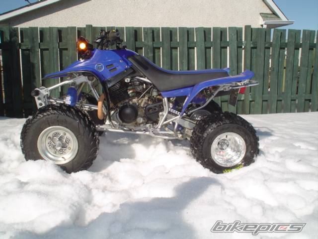 Photo 120307