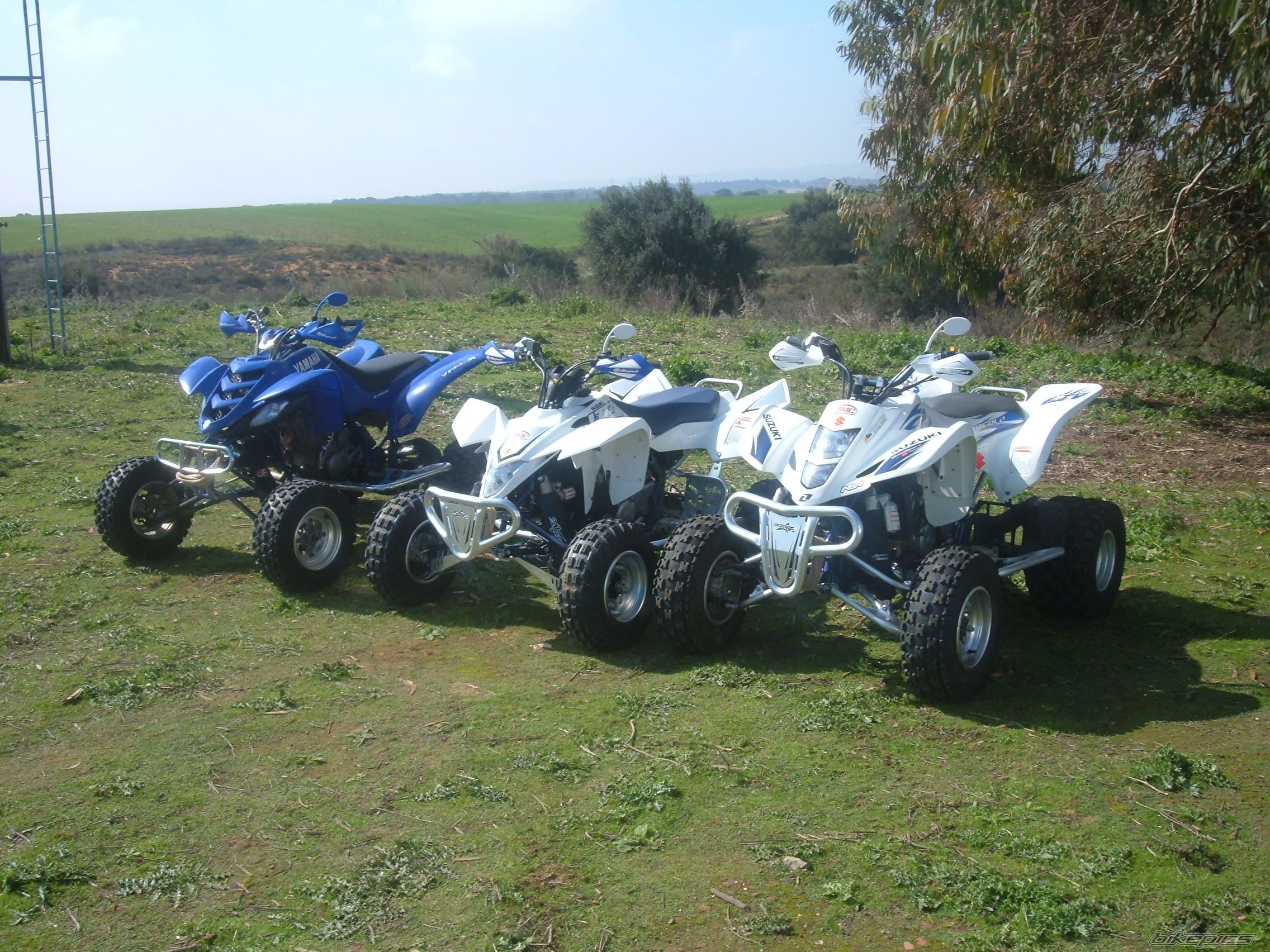 Photo 1203144