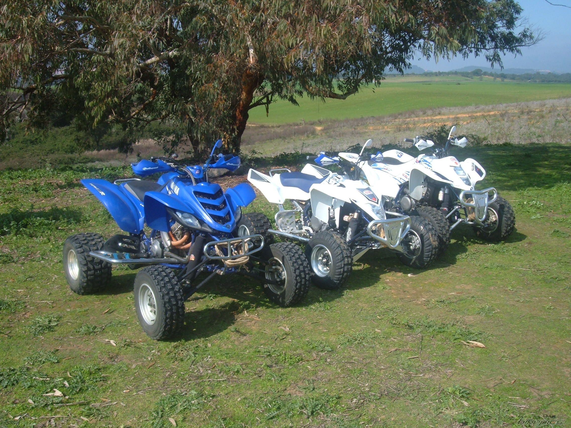 Photo 1203147