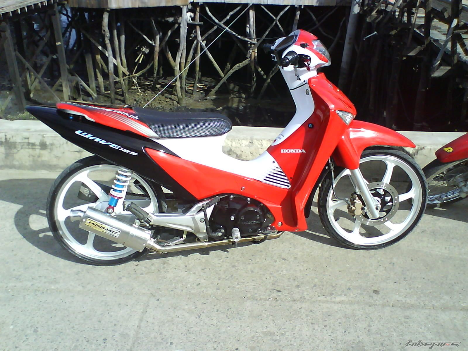 Photo 1203269