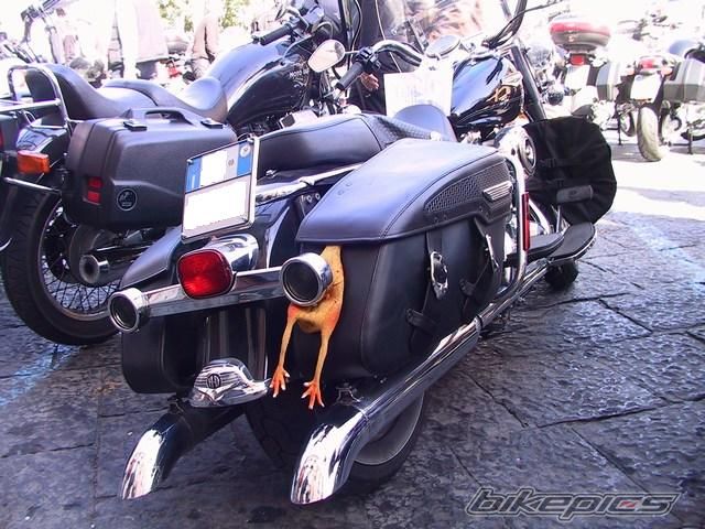 Photo 1203276