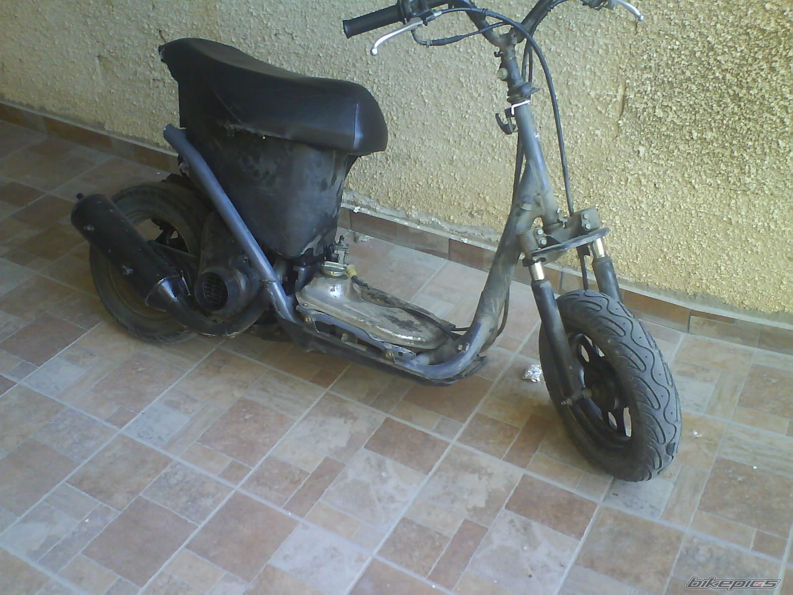 Photo 1203345