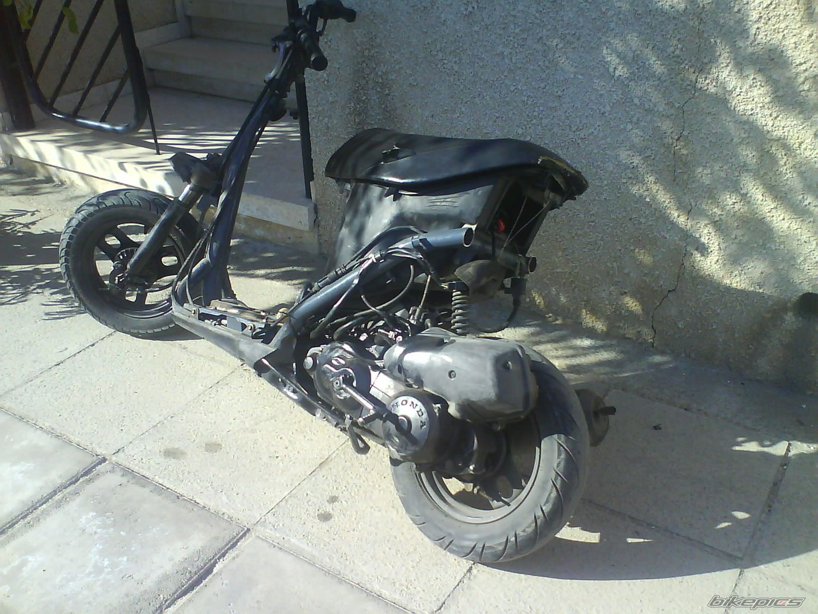Photo 1203351