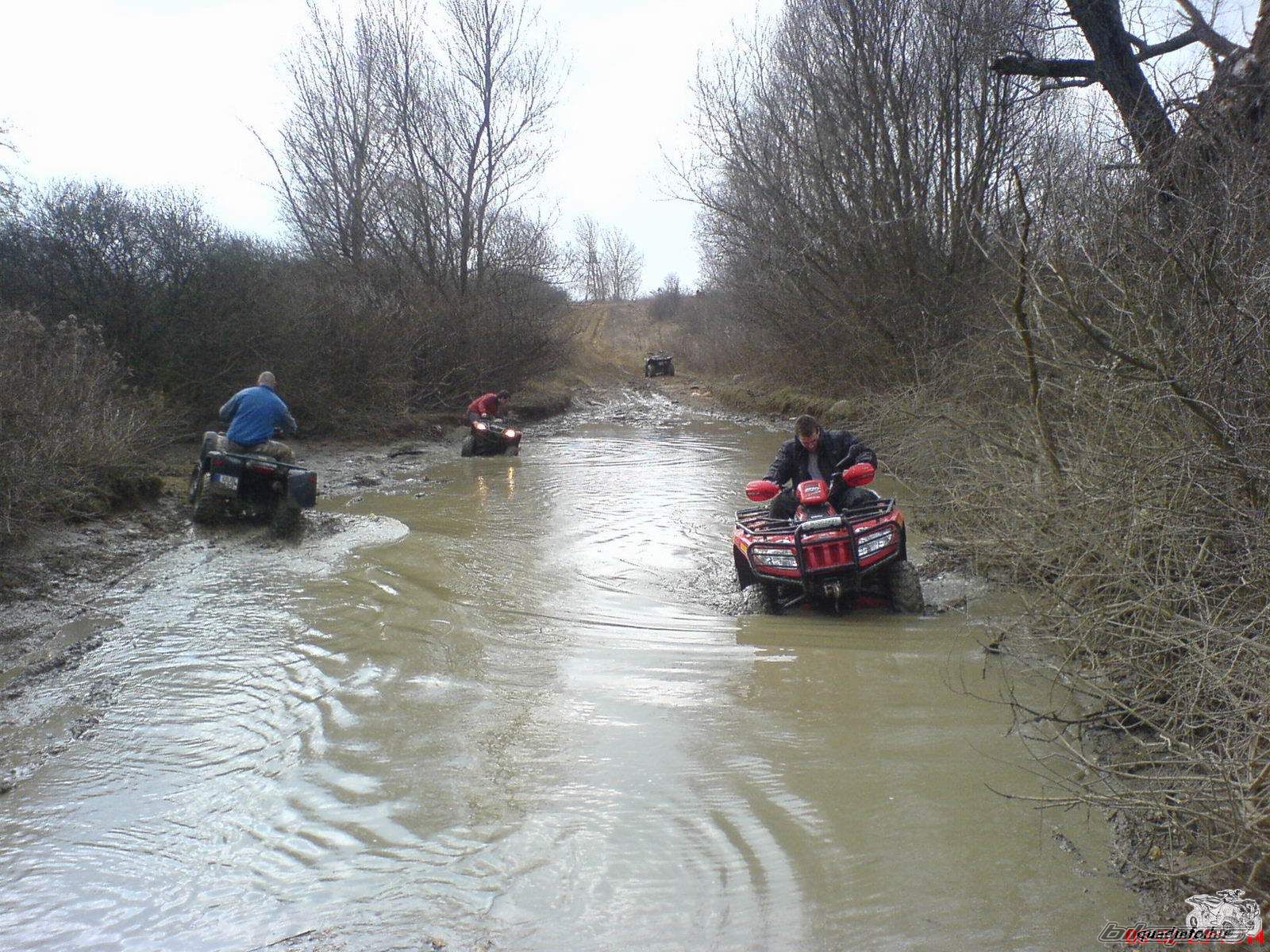 Photo 1203367