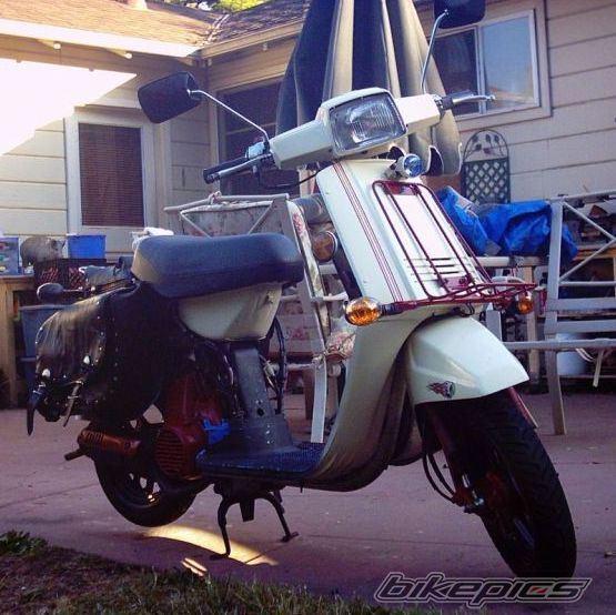 Photo 1203402