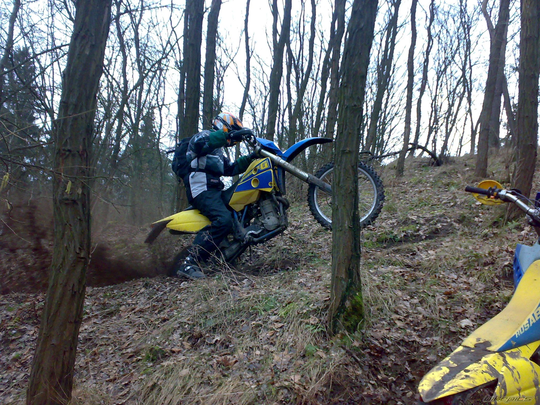 Photo 1203406