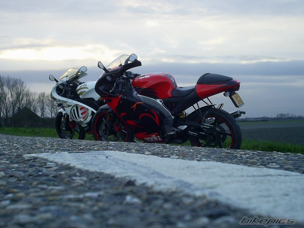 Photo 1203409