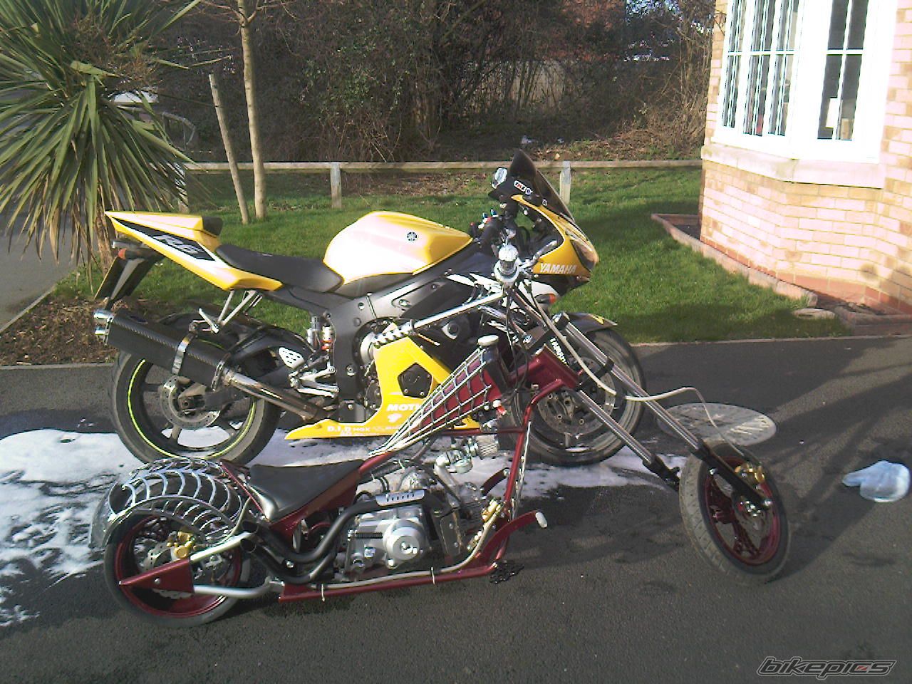 Photo 1203413