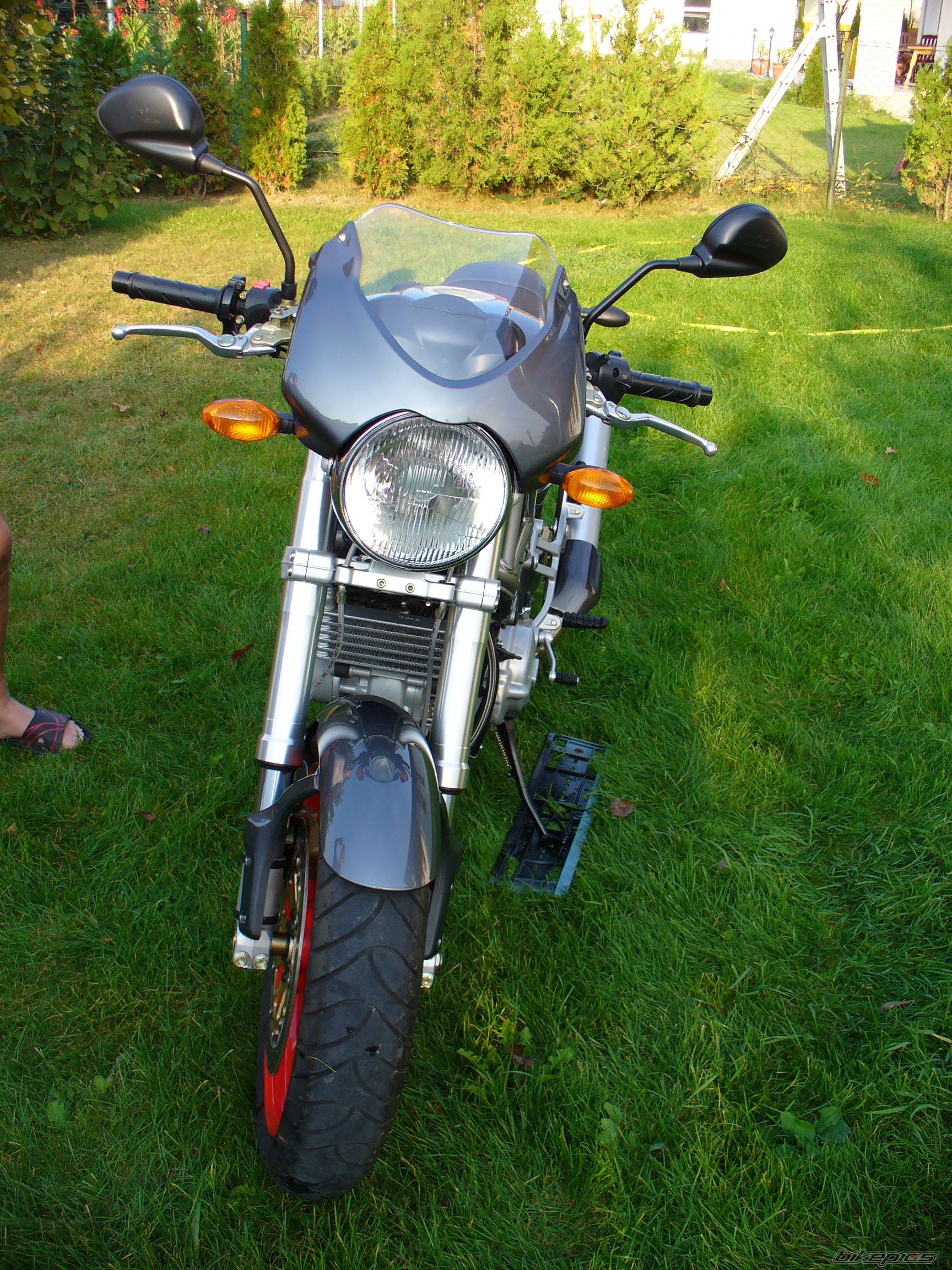 Photo 1203436