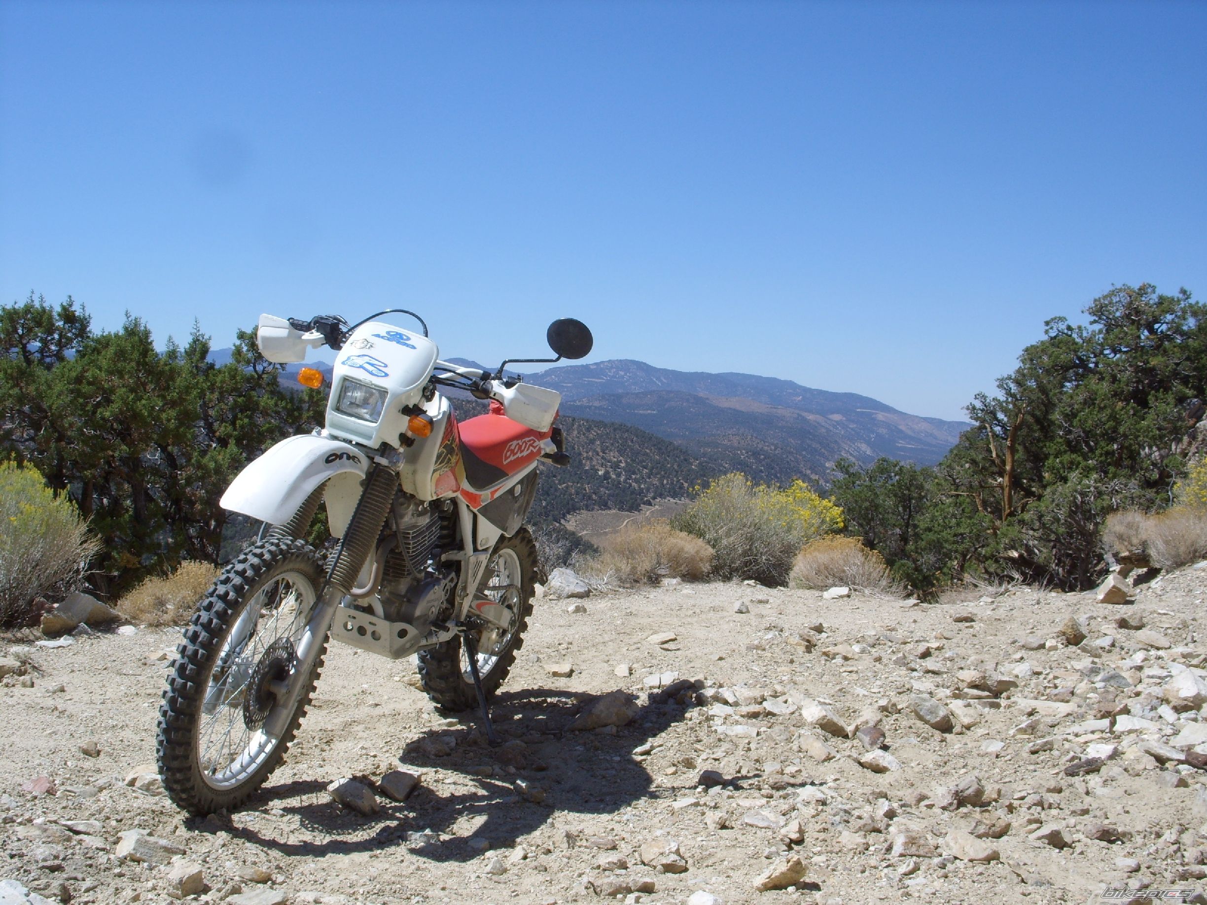 Bike Photo 1203522