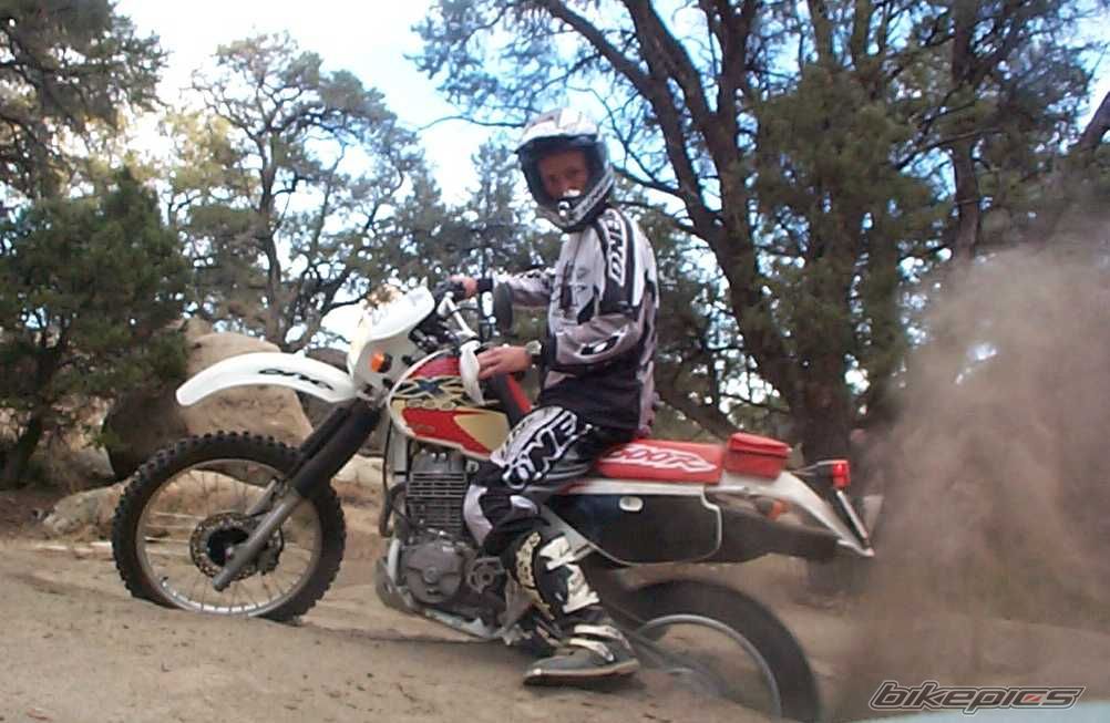Bike Photo 1203528