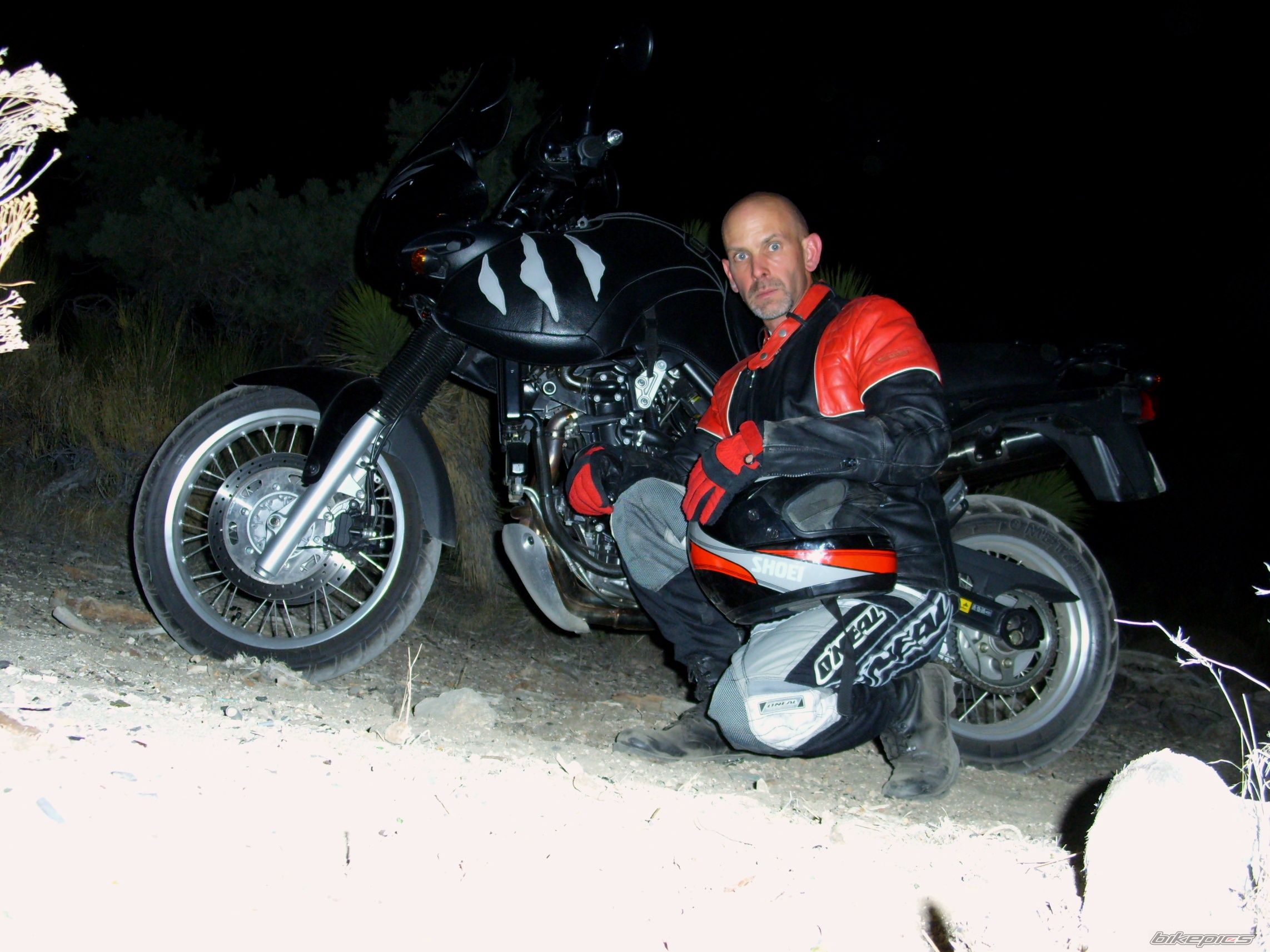 Photo 1203544