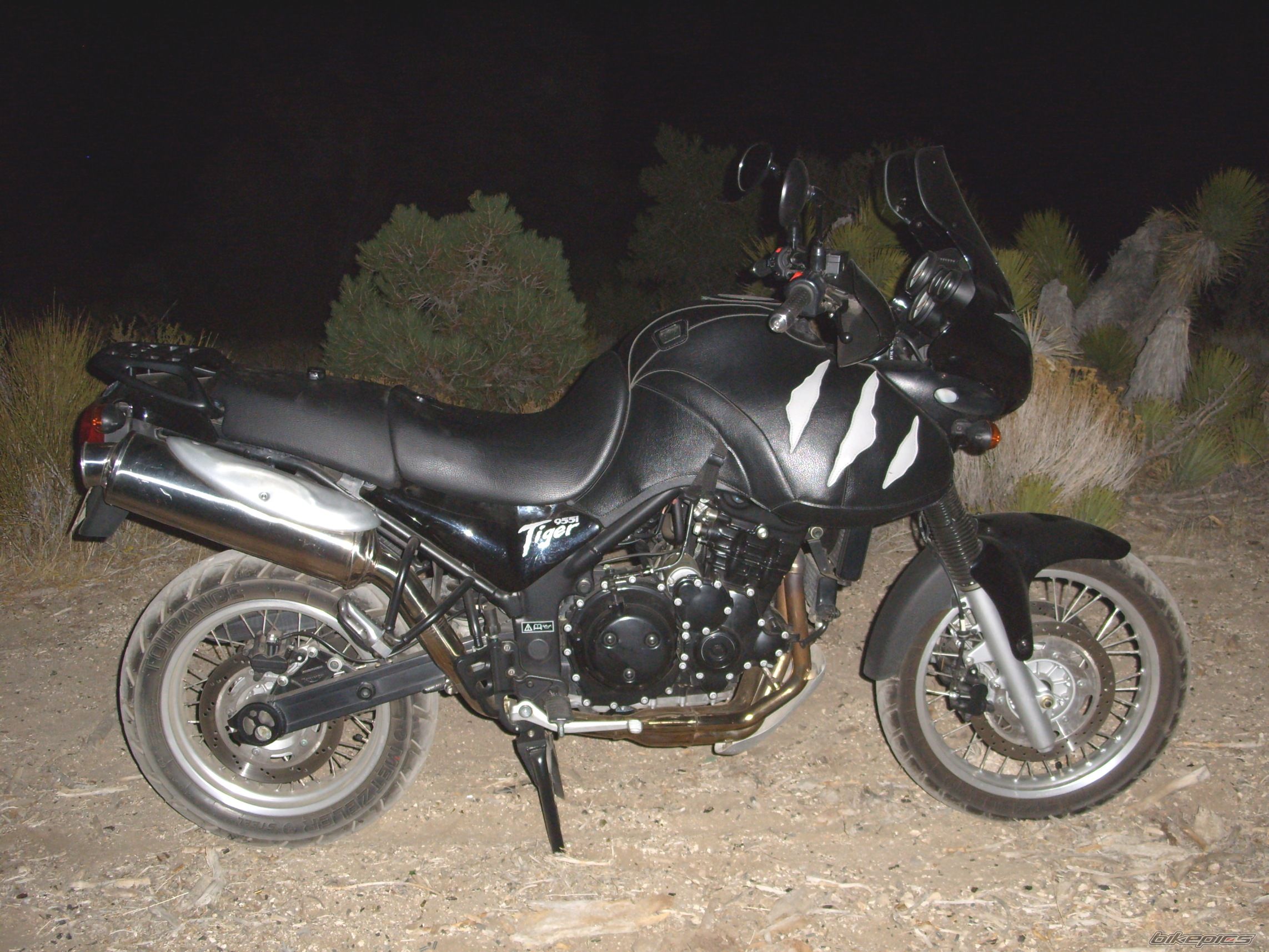 Photo 1203548