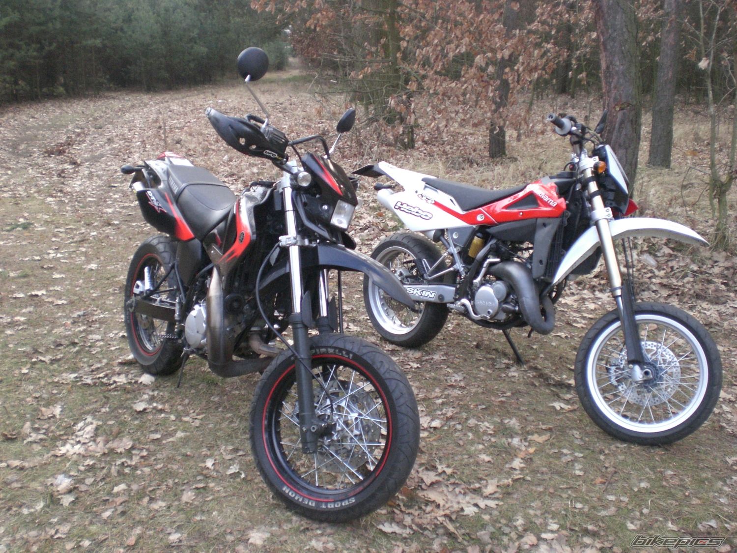 Photo 1203605