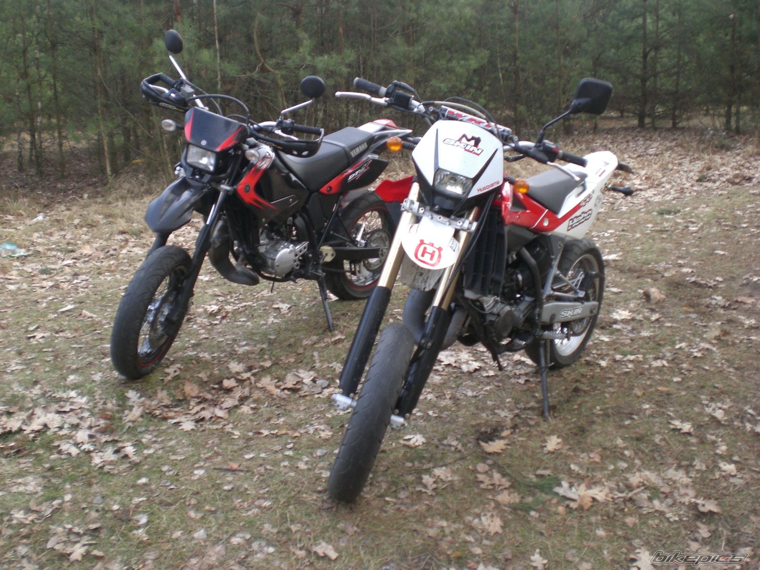 Photo 1203608