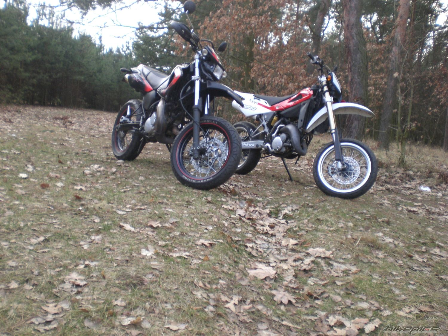 Photo 1203616