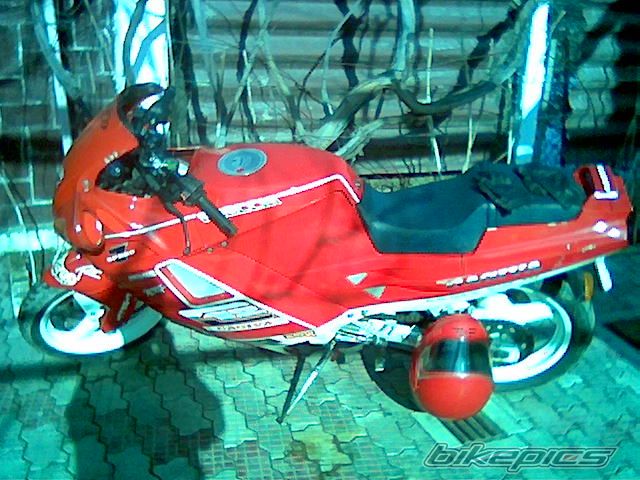 Photo 1203620