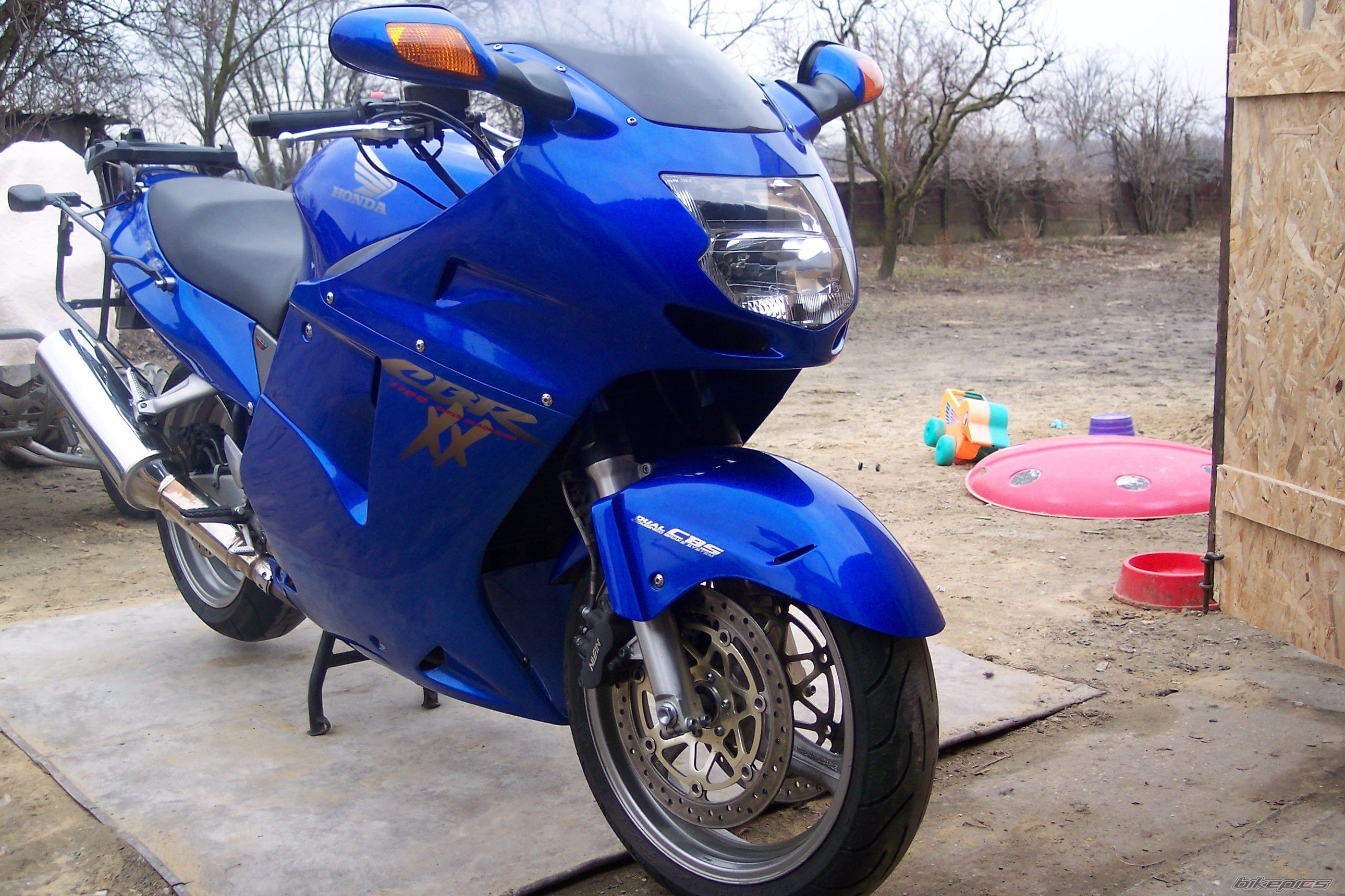 Photo 1203736