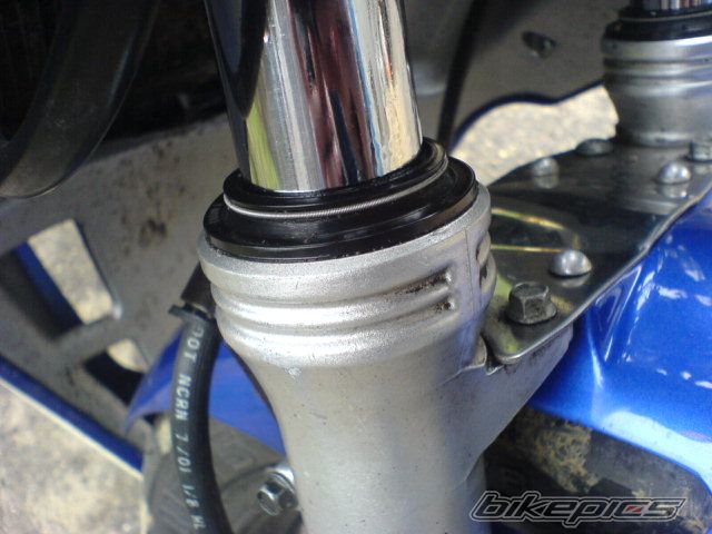 Photo 1203769