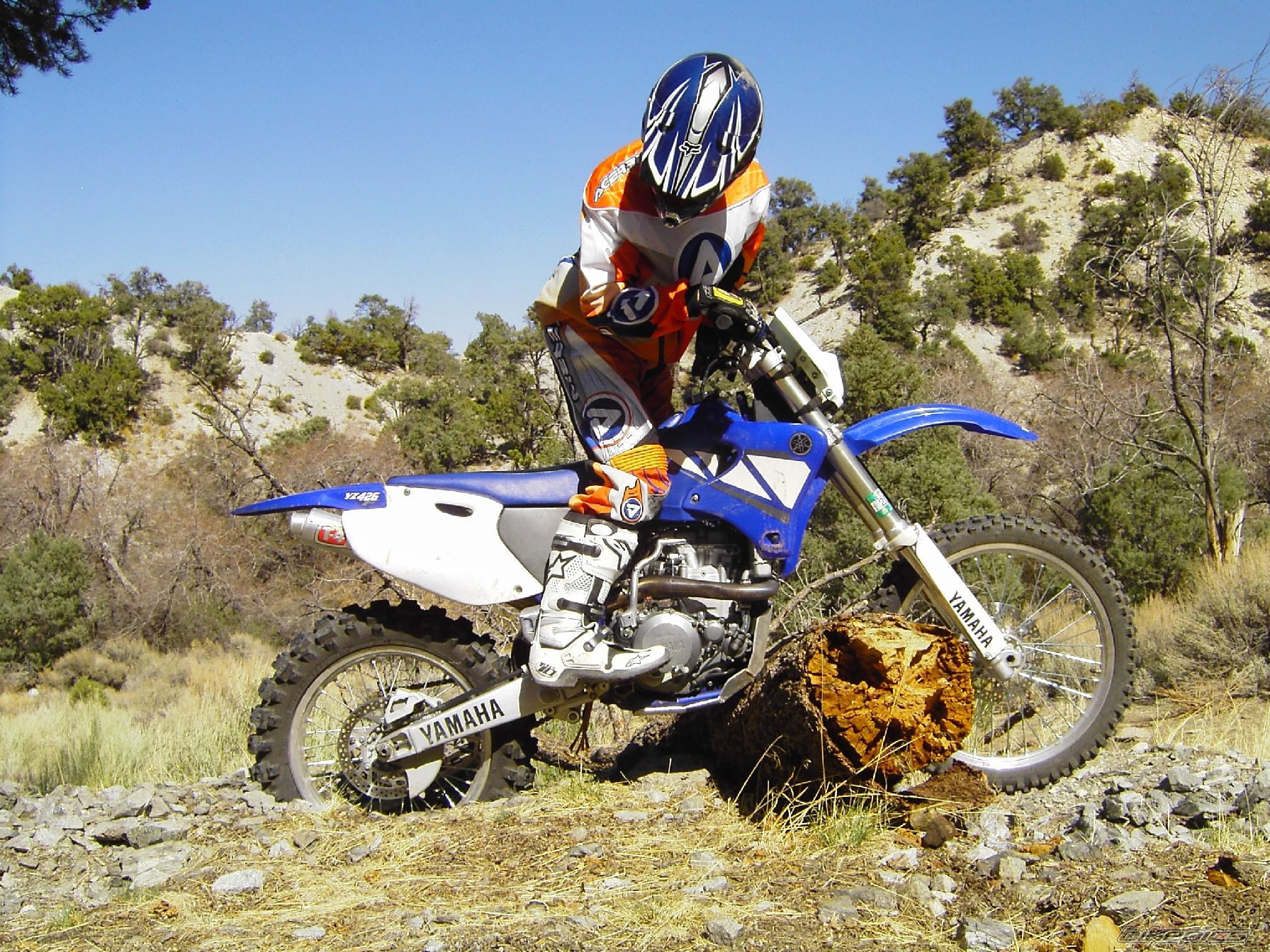 Photo 1203846