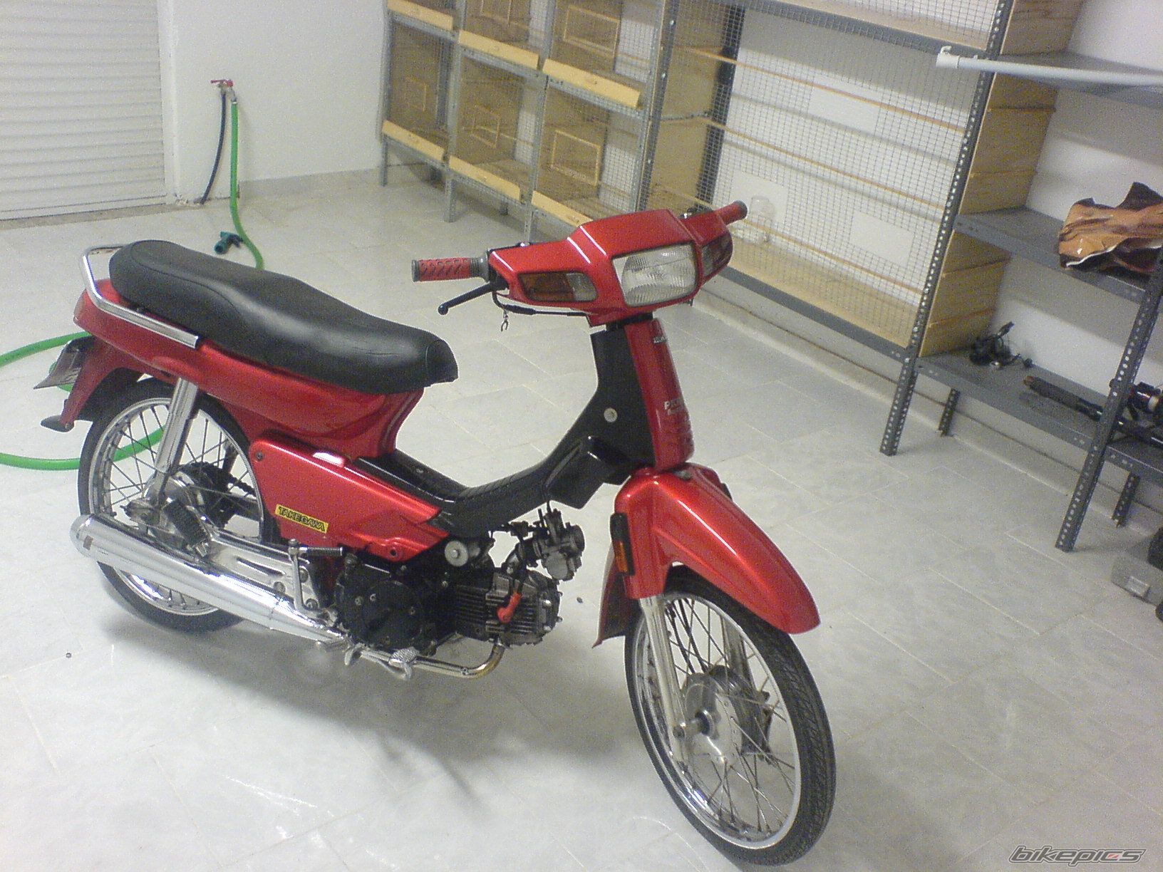 Photo 1203847