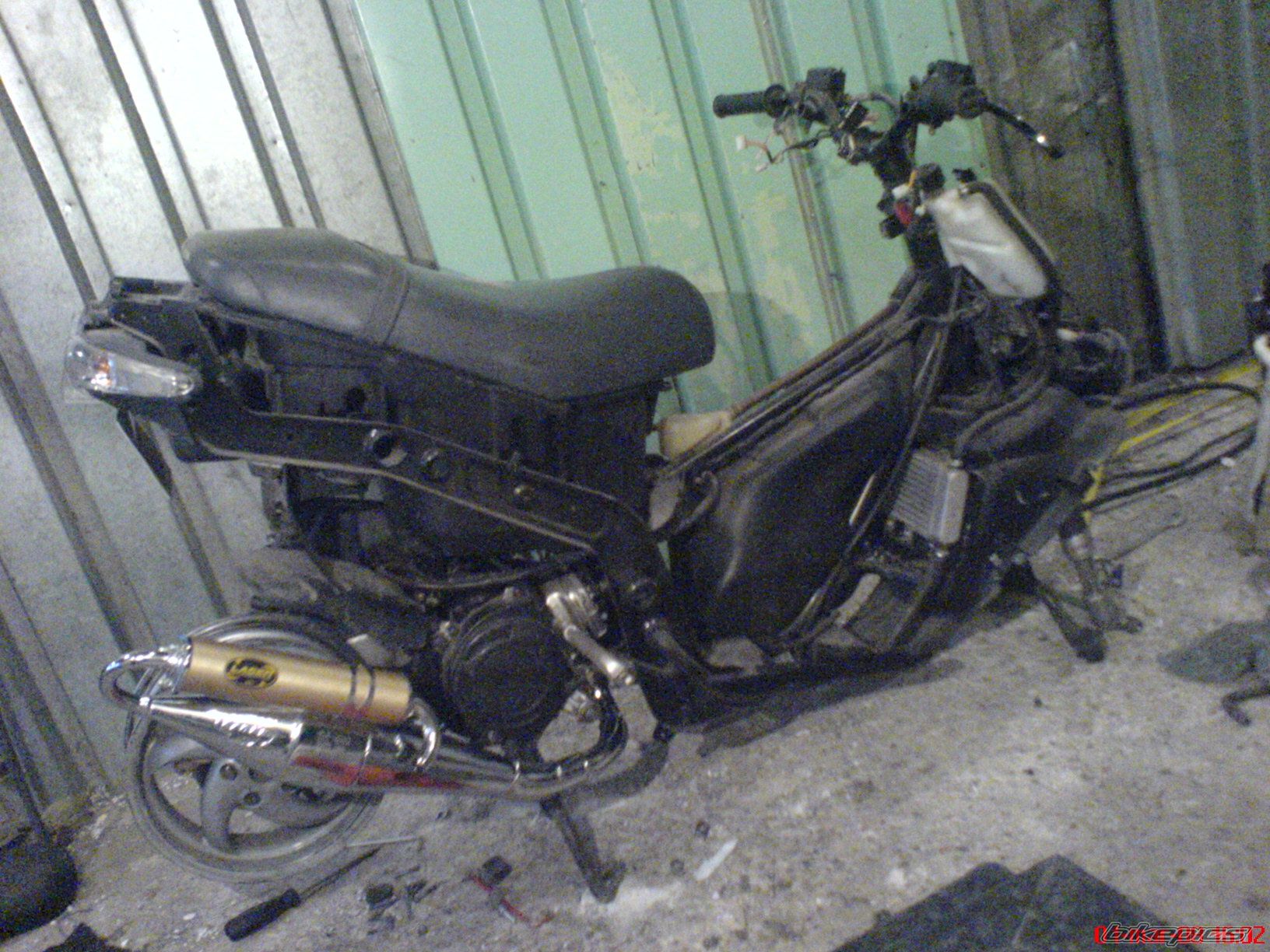 Photo 1203894