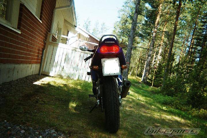 Photo 120391