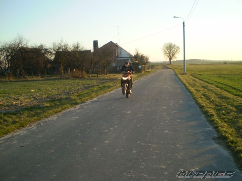 Photo 1203927