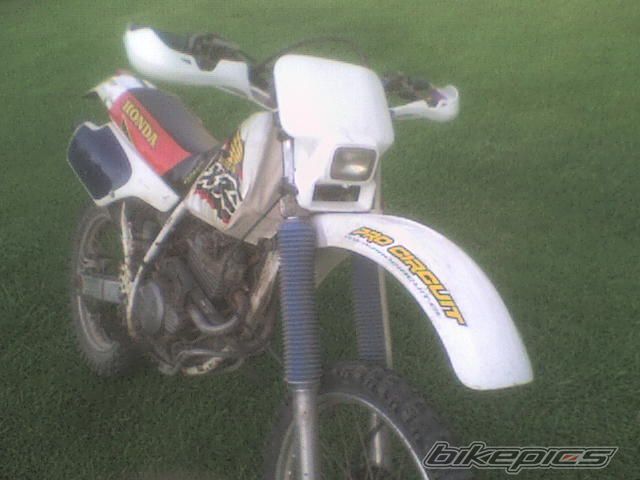 Photo 1204079