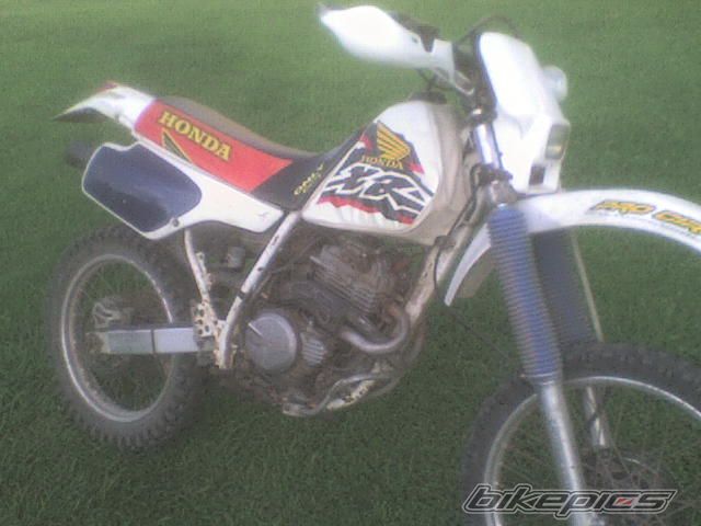 Photo 1204080