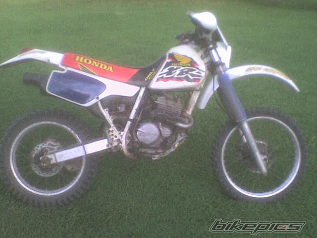 Photo 1204081
