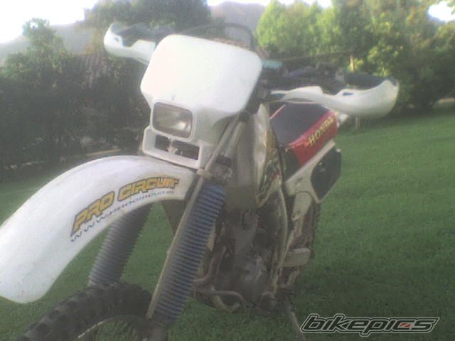 Photo 1204083