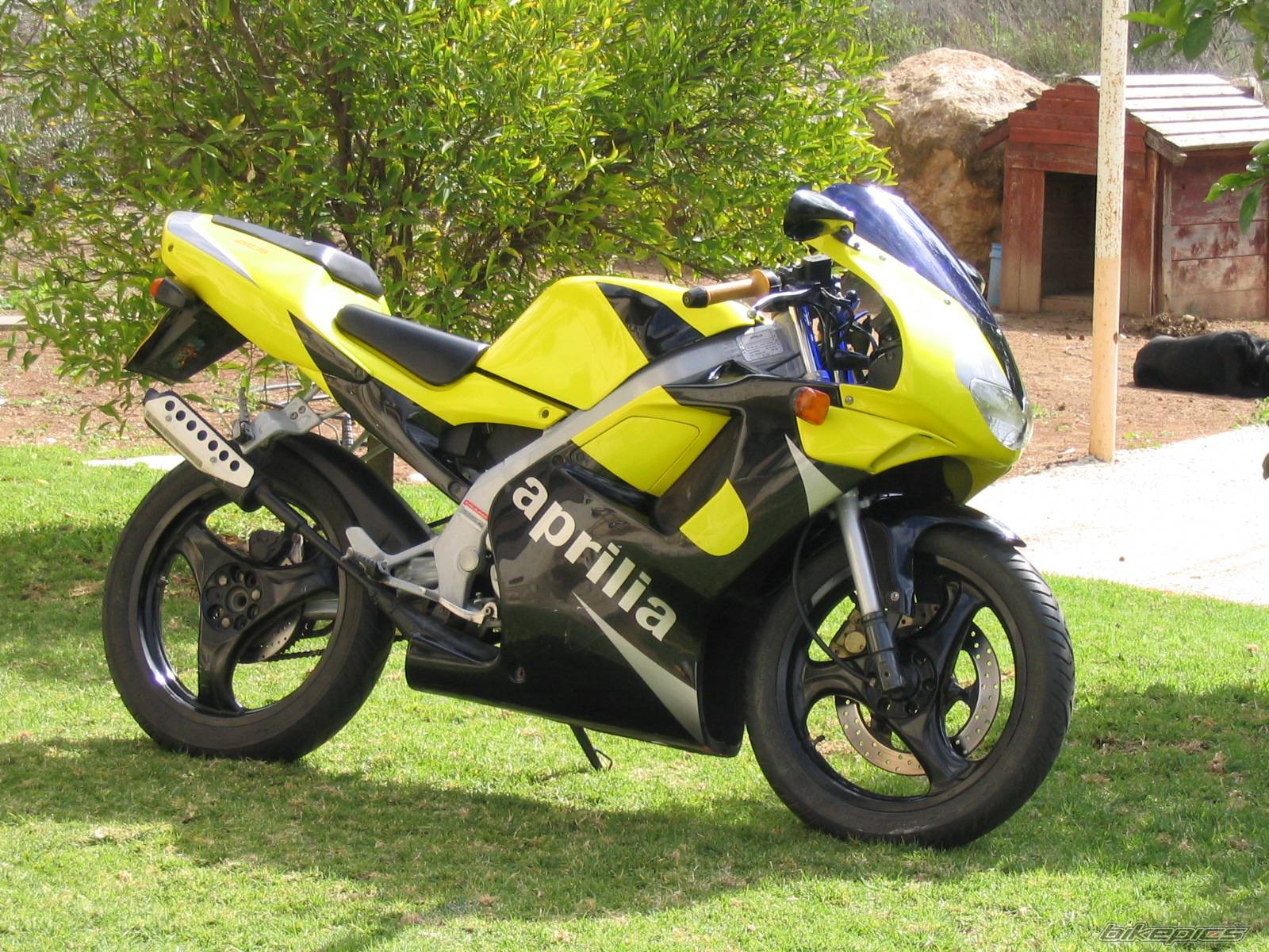 Bike Photo 120410