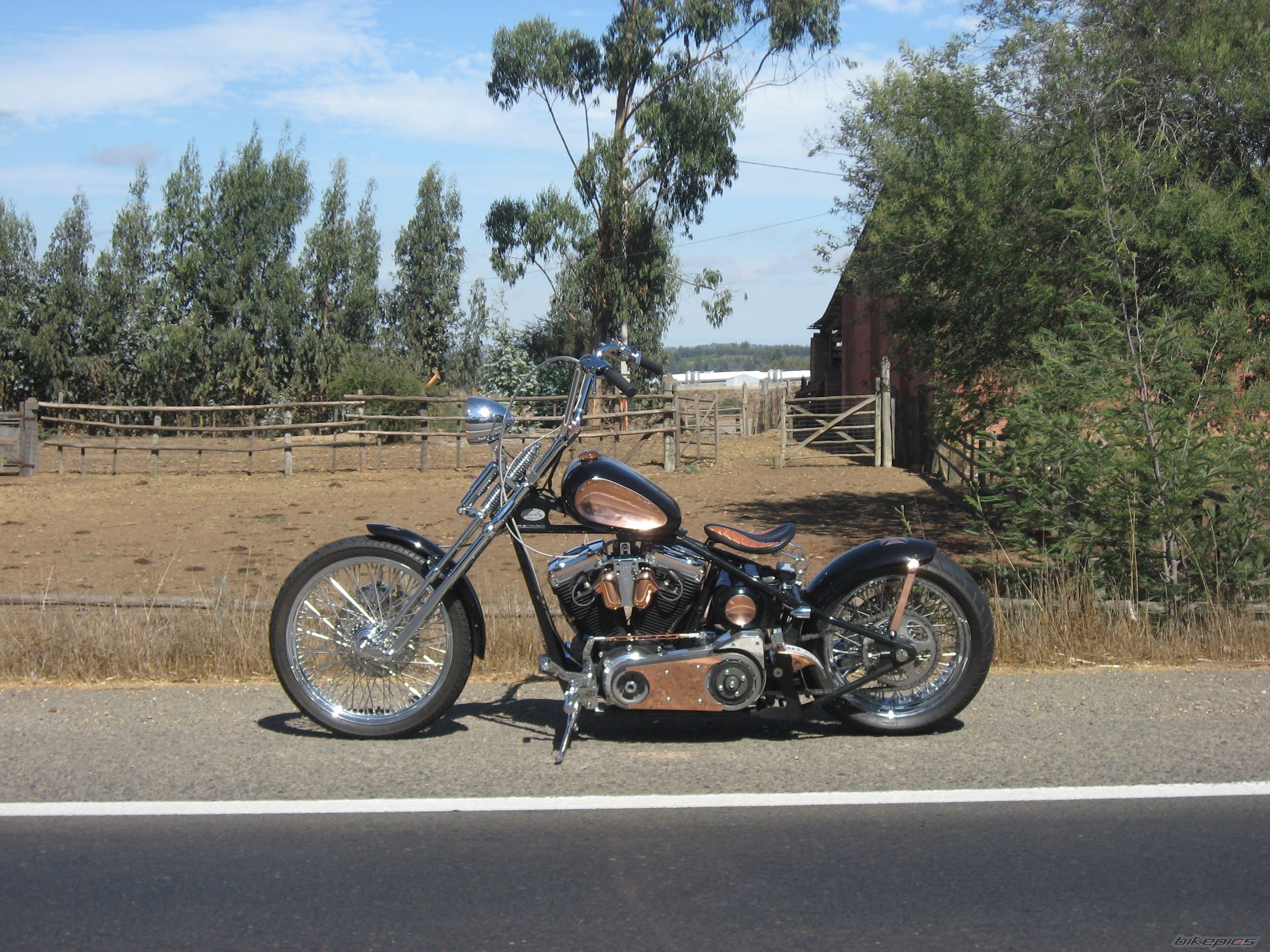 Photo 1204106