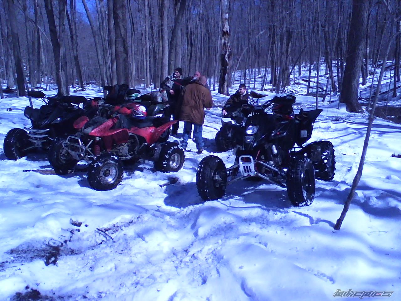 Photo 1204119