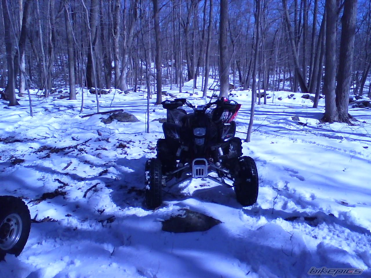 Photo 1204122