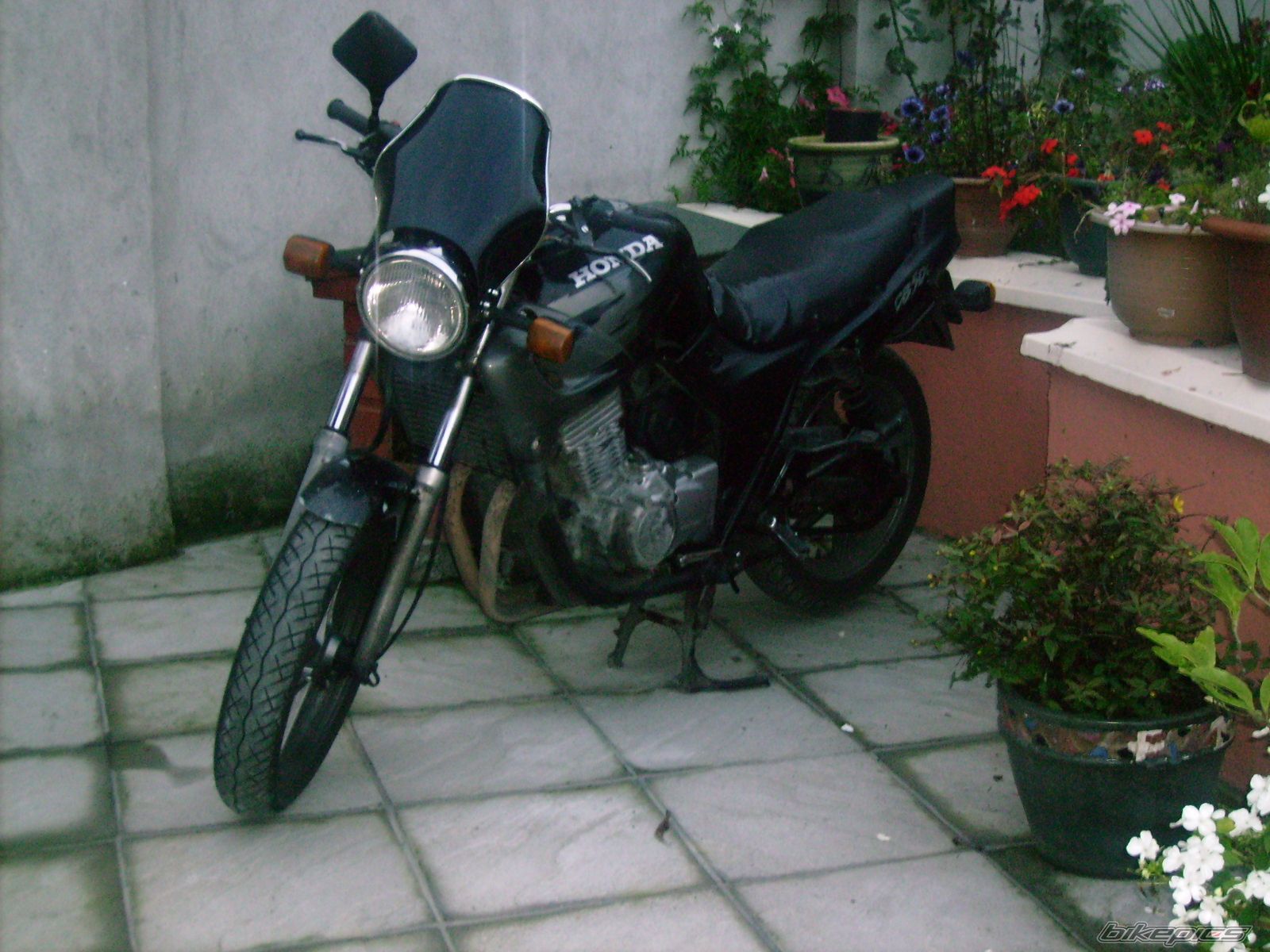 Photo 1204329
