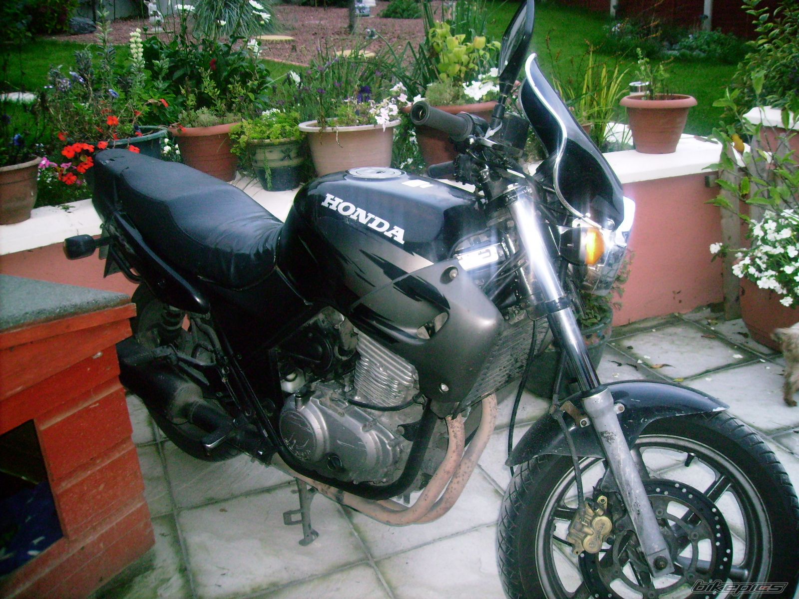 Photo 1204330