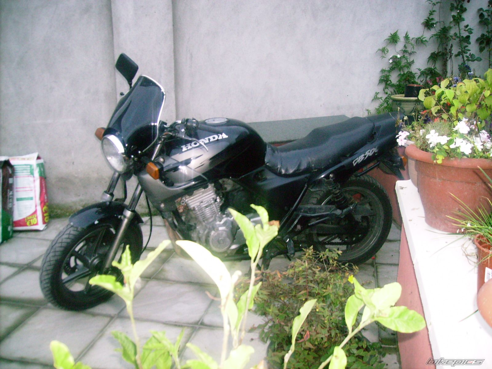 Photo 1204333