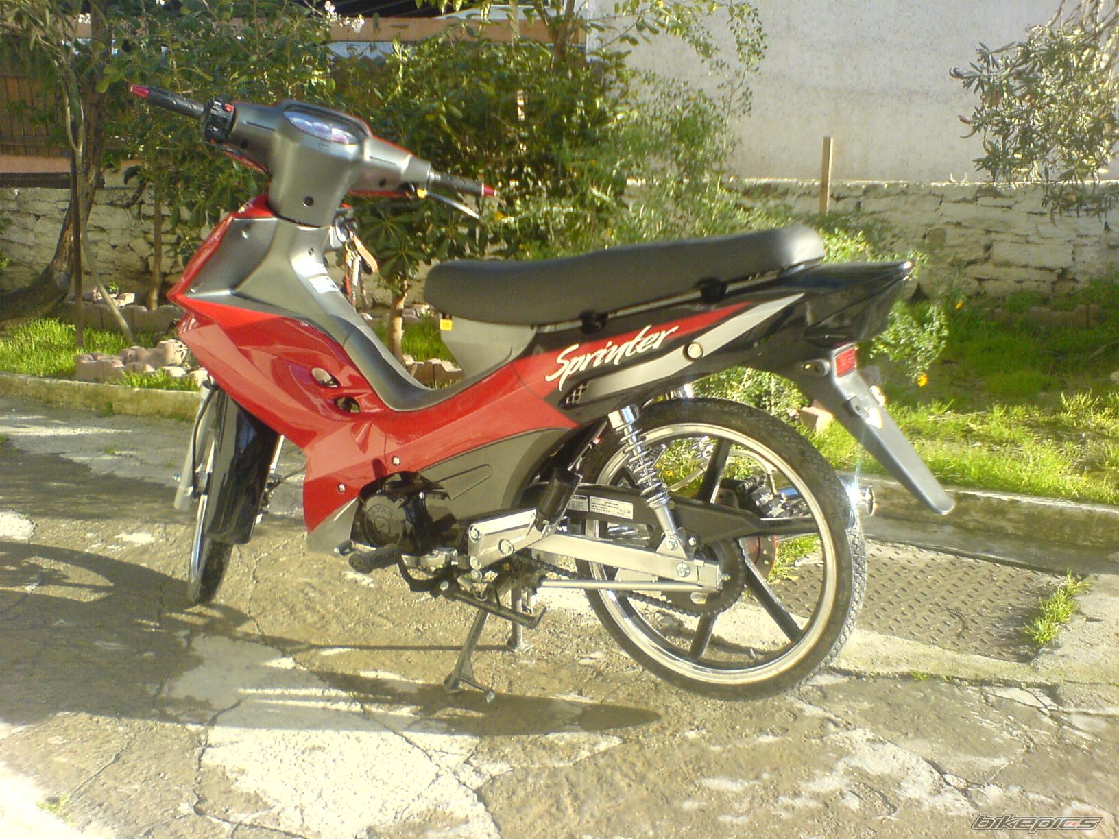 Photo 1204432