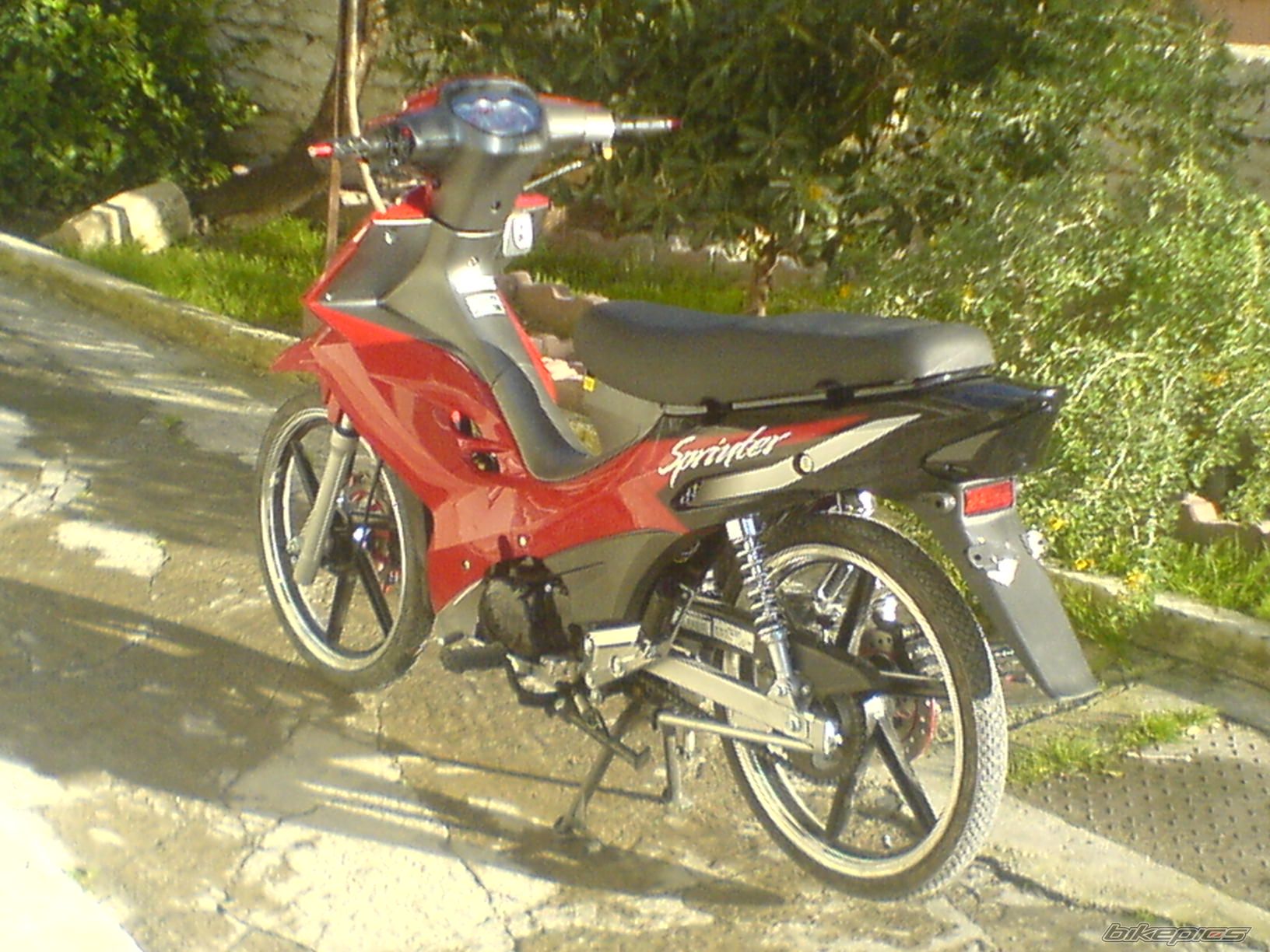 Photo 1204440