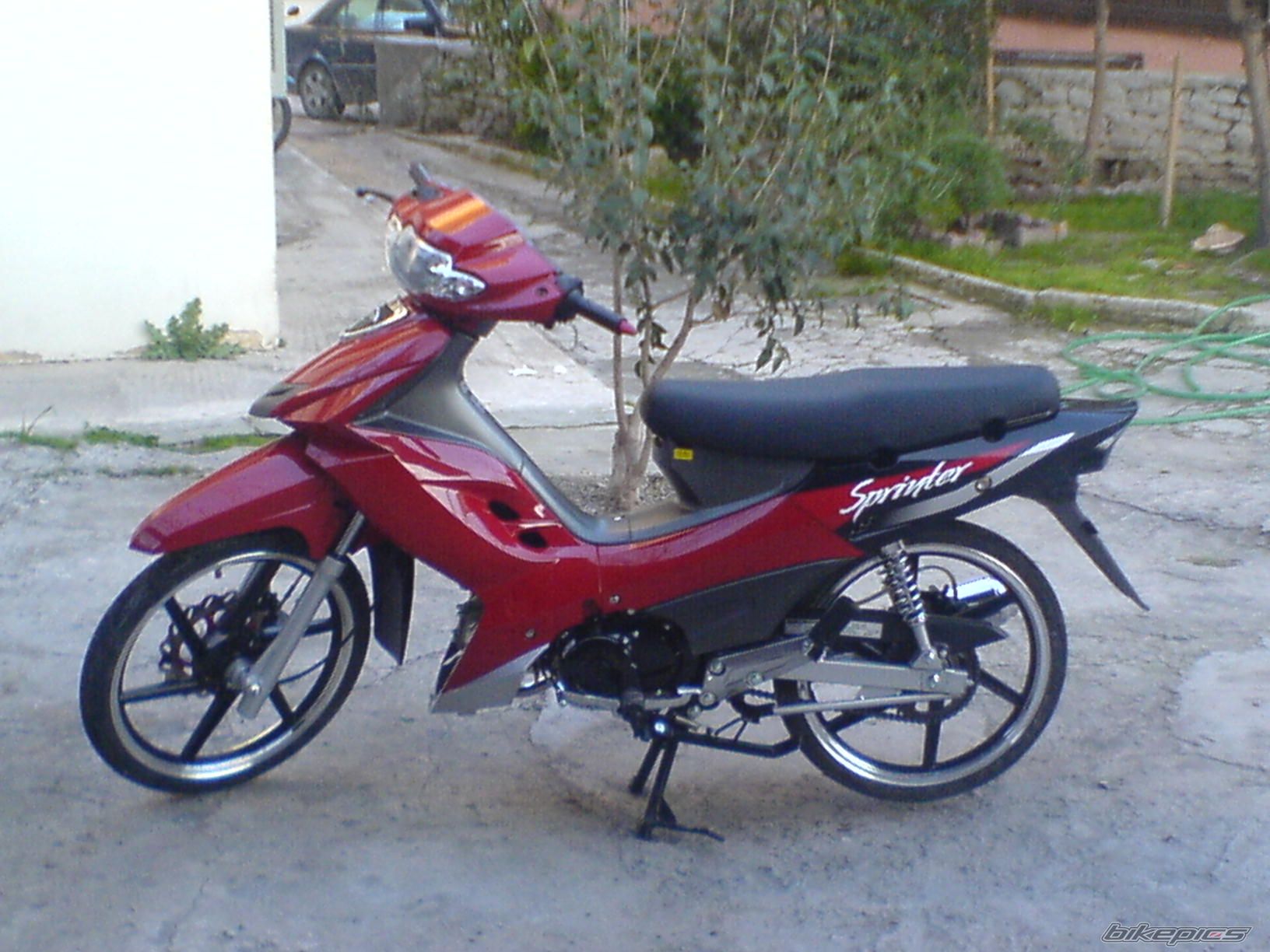 Photo 1204443