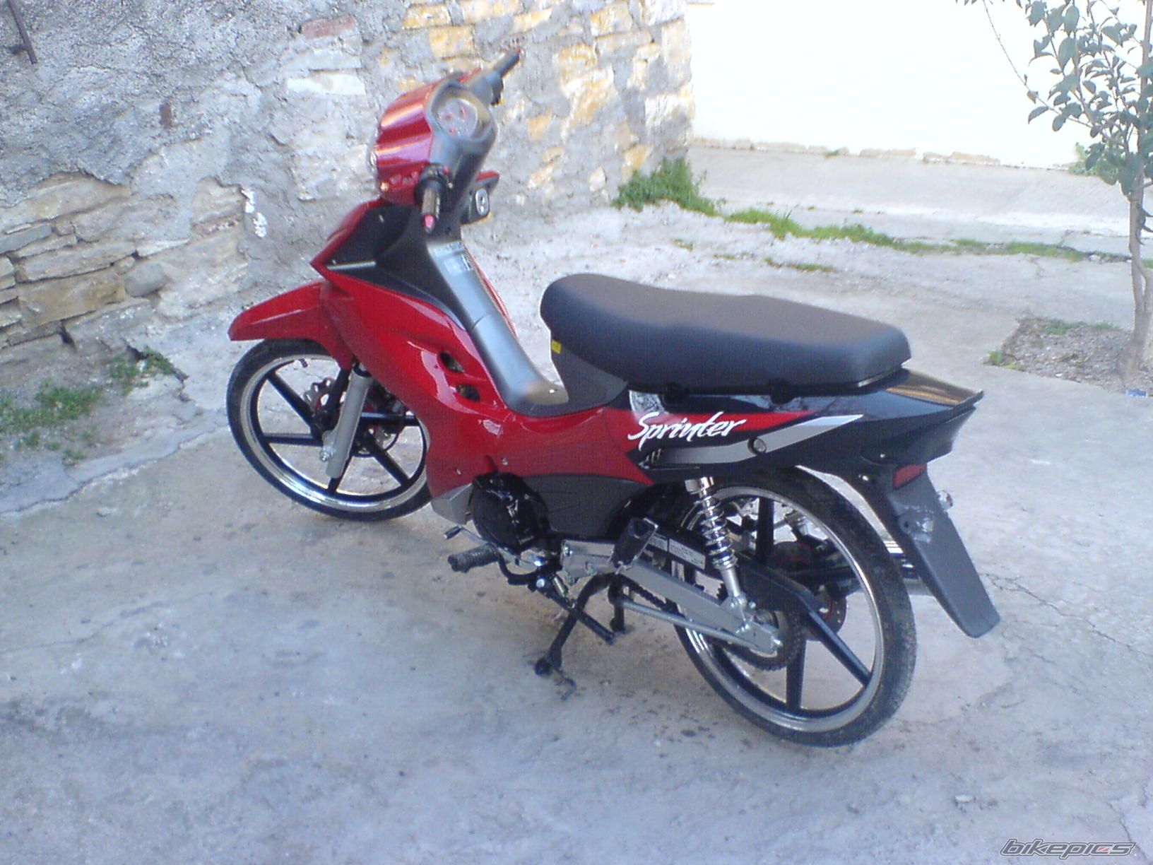 Photo 1204445